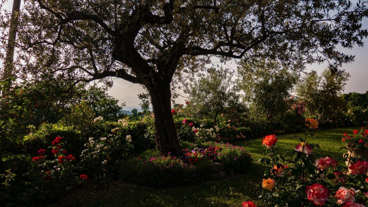 Il Casale Di Fiore Cannara Exterior foto